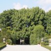 VerseilungenBorromee
